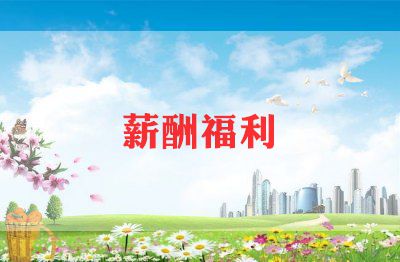 2023销售人员薪酬体系设计方案5篇