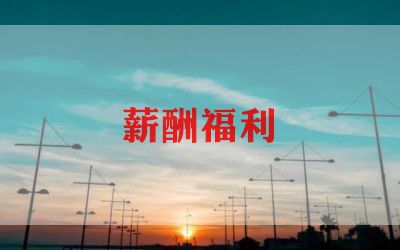 公司薪酬分配管理制度5篇