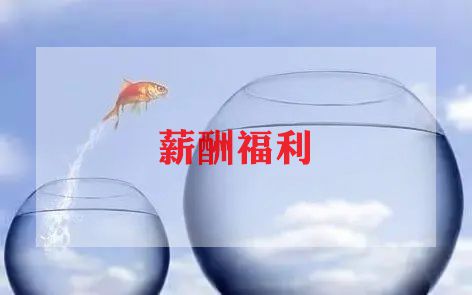 生日福利策划优秀6篇