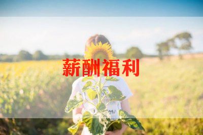 精选薪酬专员工作计划范文5篇