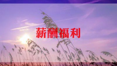 精选薪酬设计方案5篇