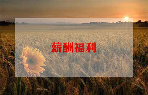 公司薪酬管理制度5篇