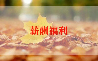 2023薪酬工作总结7篇