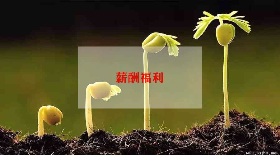2024年毕业生薪酬调查报告6篇