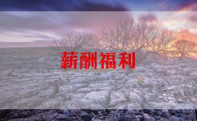 申请加工资的申请书推荐7篇