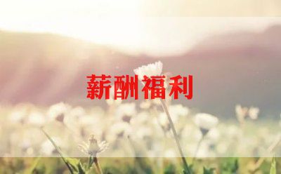 薪酬绩效年终总结5篇
