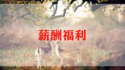 薪酬设计方案5篇