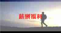 2023年薪酬岗述职报告5篇