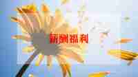 企业薪酬调查报告范文6篇