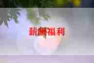 申请福利报告5篇