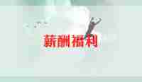 薪酬年终总结6篇