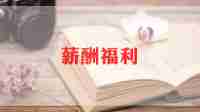 薪酬福利组工作总结5篇
