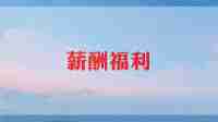 工资工作总结7篇