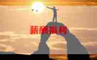 薪酬福利岗工作总结6篇