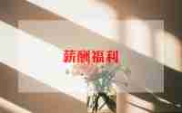2023最新关于薪酬管理工作计划5篇