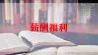薪酬年终总结6篇