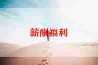 薪酬年终工作总结7篇
