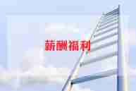 薪酬专员工作计划精编范文5篇