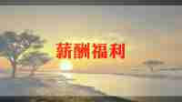 工资辞职申请书5篇