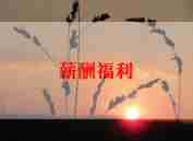 薪酬个人工作总结7篇
