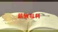 2024企业薪酬调查报告7篇