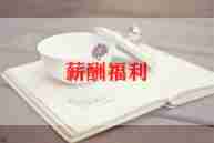 2024年薪酬管理工作总结8篇