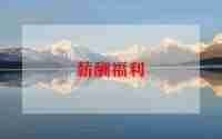 薪酬岗年度工作总结5篇