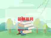 工资岗的工作总结7篇