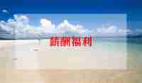 薪酬专员2024年工作总结5篇