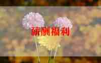 福利院实践心得7篇
