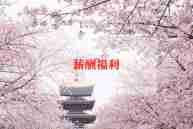 福利院志愿心得6篇
