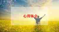 做程序的心得体会6篇