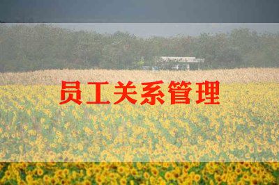2024柜员工作总结优秀7篇