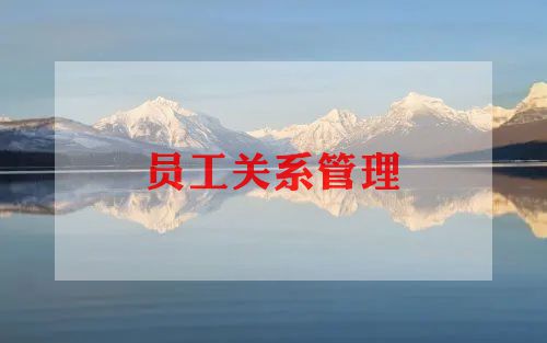 员工试用期工作心得参考8篇