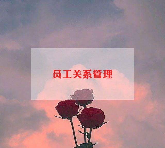 员工关系管理心得体会