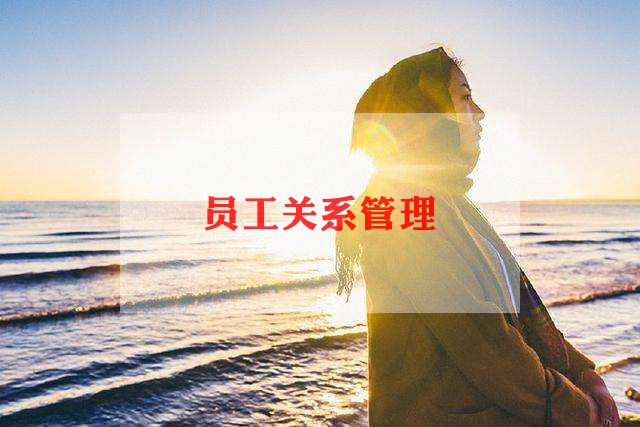 监管员工作计划6篇