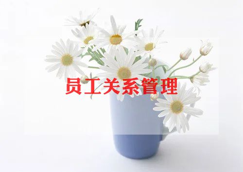 2023年信贷员工作总结7篇
