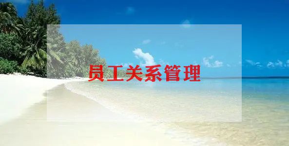 员工期满工作总结5篇