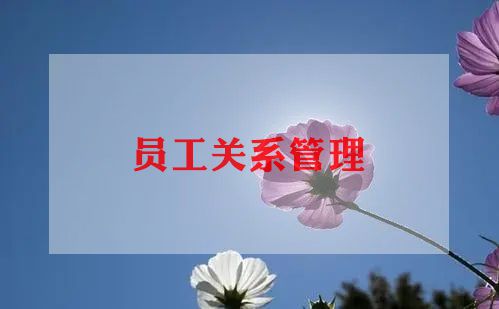 信用社新员工培训心得7篇