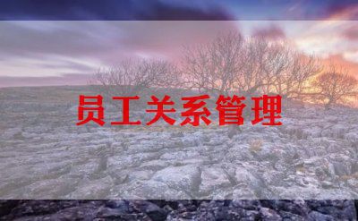 前台收银员工作总结模板8篇