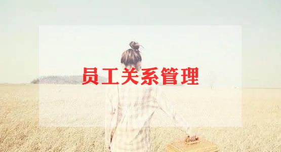 考辅导员工作计划8篇