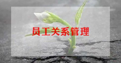 个人周业务员工作总结8篇