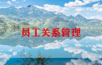 人员工作总结2022精选8篇