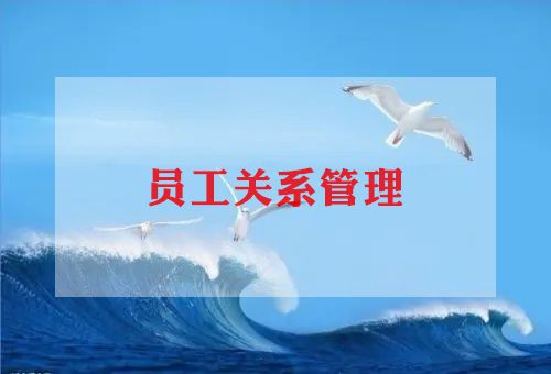个人优秀员工工作总结推荐7篇