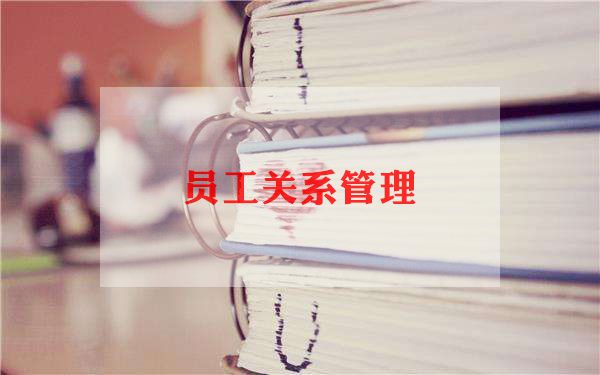2023年劳资员工作总结6篇