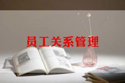 公司的员工年度考核个人总结6篇