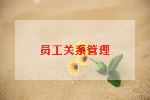 超实用员工转正申请书模板6篇