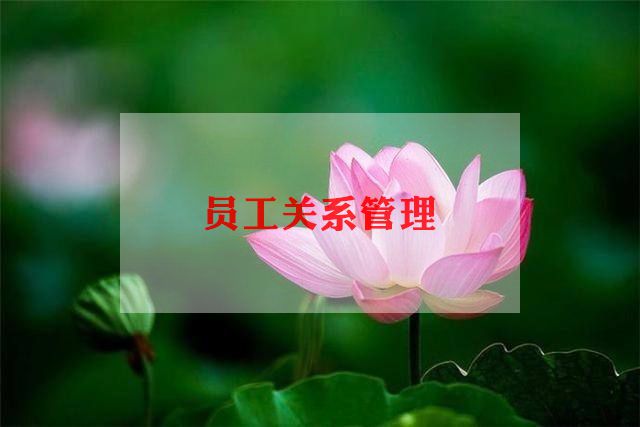 员工工作计划总结推荐7篇
