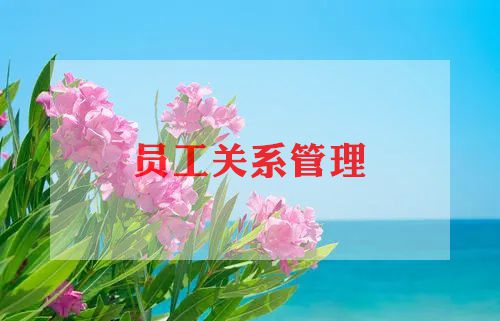 新员工周工作总结优质5篇