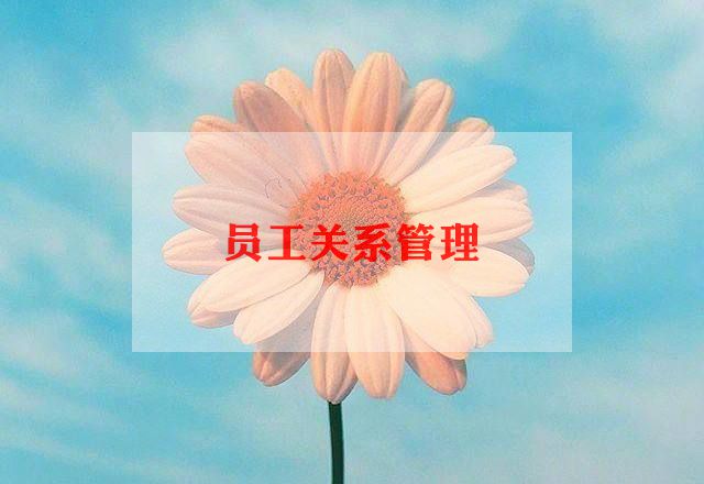 员工入职承诺书范文6篇